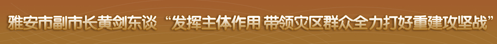 四川省政府网站