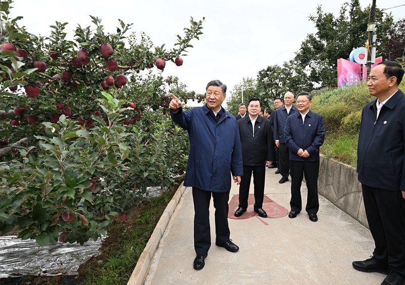 习近平在甘肃考察时强调
深化改革勇于创新苦干实干富民兴陇
奋力谱写中国式现代化甘肃篇章
途中在陕西宝鸡考察
蔡奇陪同考察「相关图片」