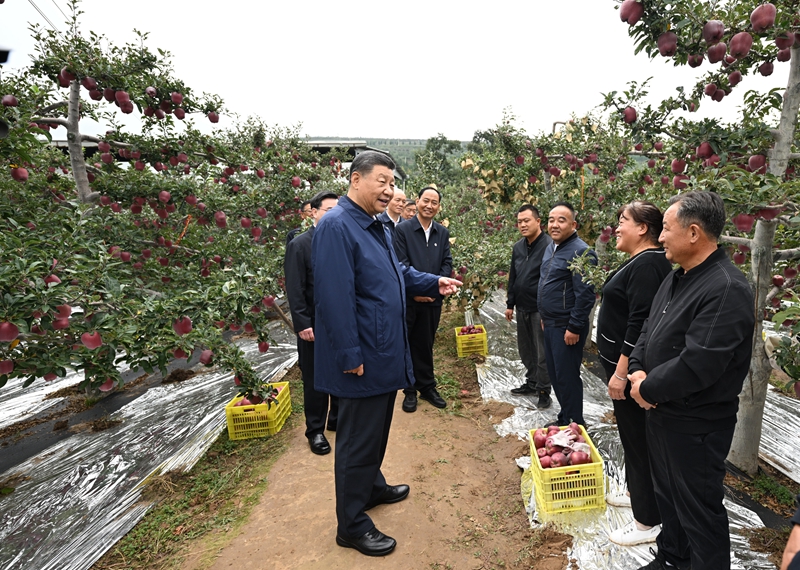 习近平在甘肃考察时强调
深化改革勇于创新苦干实干富民兴陇
奋力谱写中国式现代化甘肃篇章
途中在陕西宝鸡考察
蔡奇陪同考察「相关图片」