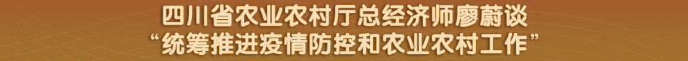 四川省政府网站