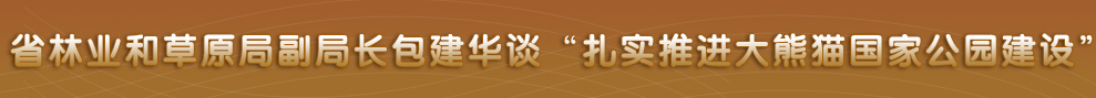 四川省政府网站